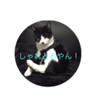 たびスタンプ（個別スタンプ：6）