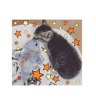 ちゃちゃまる、くろまる、コロ（個別スタンプ：12）