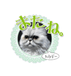 ざらめ様のご挨拶とありがたいお言葉（個別スタンプ：7）