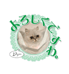 ざらめ様のご挨拶とありがたいお言葉（個別スタンプ：10）