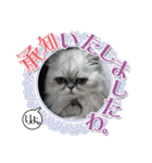 ざらめ様のご挨拶とありがたいお言葉（個別スタンプ：11）