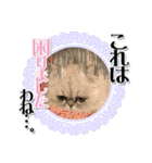 ざらめ様のご挨拶とありがたいお言葉（個別スタンプ：16）