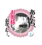 ざらめ様のご挨拶とありがたいお言葉（個別スタンプ：17）
