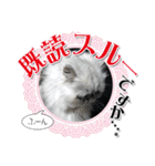 ざらめ様のご挨拶とありがたいお言葉（個別スタンプ：18）