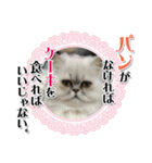 ざらめ様のご挨拶とありがたいお言葉（個別スタンプ：19）