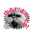 ざらめ様のご挨拶とありがたいお言葉（個別スタンプ：22）