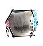 ざらめ様のご挨拶とありがたいお言葉（個別スタンプ：27）