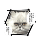 ざらめ様のご挨拶とありがたいお言葉（個別スタンプ：28）