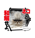 ざらめ様のご挨拶とありがたいお言葉（個別スタンプ：29）