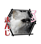 ざらめ様のご挨拶とありがたいお言葉（個別スタンプ：32）