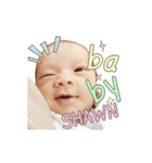 babySHAWN（個別スタンプ：23）
