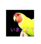 うちのアニマル（個別スタンプ：4）