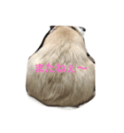 瑠斗家（個別スタンプ：4）