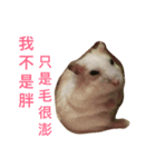 Hamster bian（個別スタンプ：13）