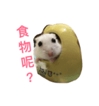 Hamster bian（個別スタンプ：14）