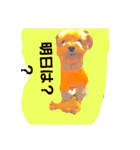 mi-tofamily yume2（個別スタンプ：2）