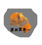 mi-tofamily yume2（個別スタンプ：4）