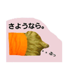 mi-tofamily yume2（個別スタンプ：7）
