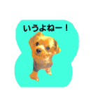 mi-tofamily yume2（個別スタンプ：16）