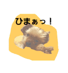 mi-tofamily yume2（個別スタンプ：21）