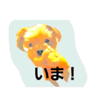 mi-tofamily yume2（個別スタンプ：24）