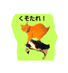 ponta 2（個別スタンプ：8）