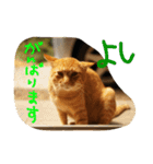 jiro_jiro（個別スタンプ：2）