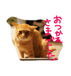 jiro_jiro（個別スタンプ：3）