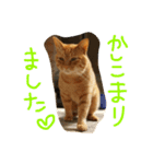 jiro_jiro（個別スタンプ：4）