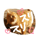 jiro_jiro（個別スタンプ：7）