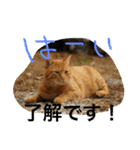 jiro_jiro（個別スタンプ：8）
