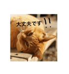 jiro_jiro（個別スタンプ：10）
