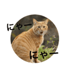 jiro_jiro（個別スタンプ：14）