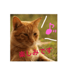 jiro_jiro（個別スタンプ：15）
