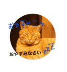 jiro_jiro（個別スタンプ：16）