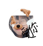 strange photo（個別スタンプ：8）