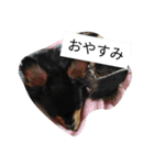 チワワのコテツ★日常会話編（個別スタンプ：3）