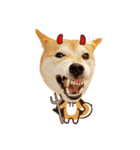 柴犬マンゴーガール3-日本語（個別スタンプ：2）