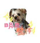 ラムとフレディ（個別スタンプ：8）