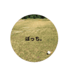 モルモットのめいちゃん（個別スタンプ：10）