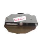モルモットのめいちゃん（個別スタンプ：16）