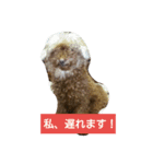 そらとななみっと（個別スタンプ：3）