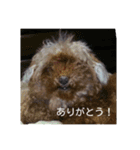 そらとななみっと（個別スタンプ：5）