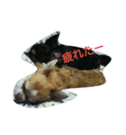 ラブとルル（個別スタンプ：6）