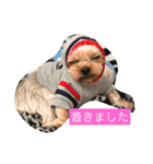 ybfam（個別スタンプ：11）