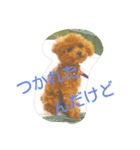 kurumi-no-kuu3（個別スタンプ：4）
