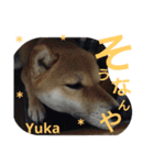 Yuka＆yuzu（個別スタンプ：8）