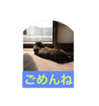 パナーニ（個別スタンプ：7）