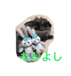 パナーニ（個別スタンプ：15）