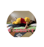 eppis life（個別スタンプ：3）